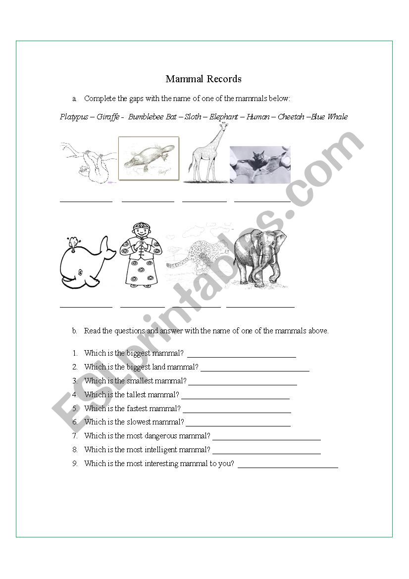 Mammal Records worksheet