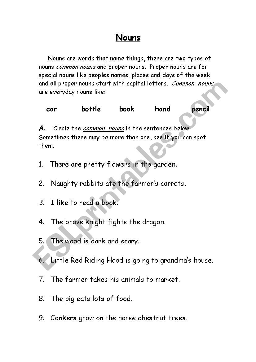 Common Nouns worksheet