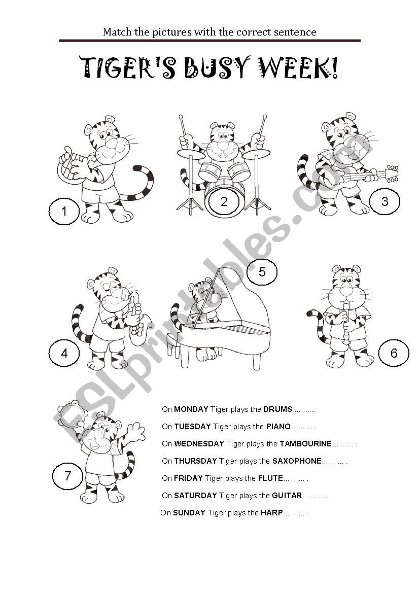 TIGERS BUSY WEEK worksheet