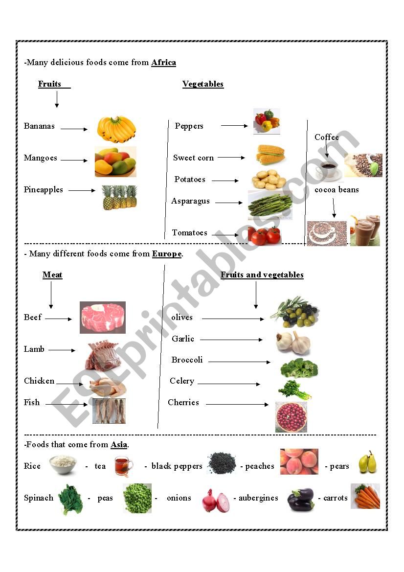 food worksheet