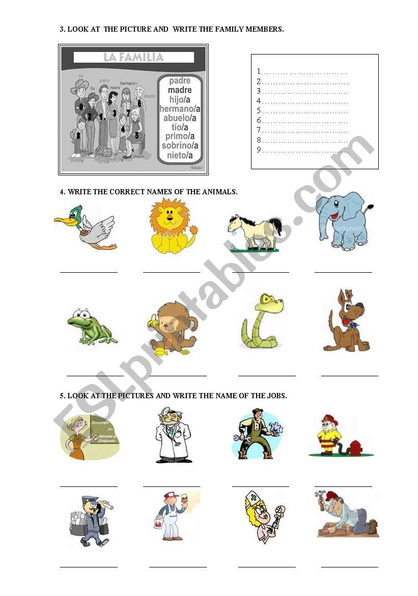 family, animals and jobs worksheet