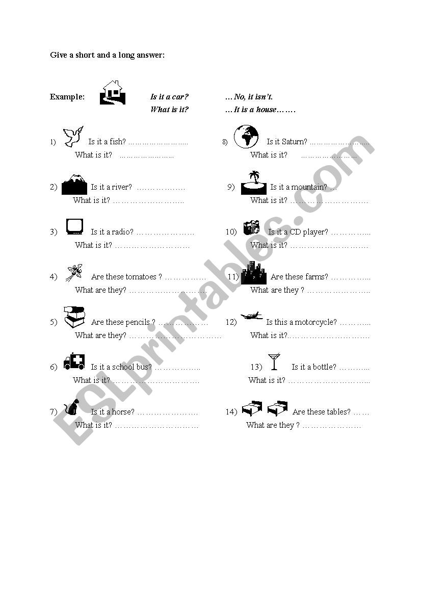 What is it? / What are they? worksheet