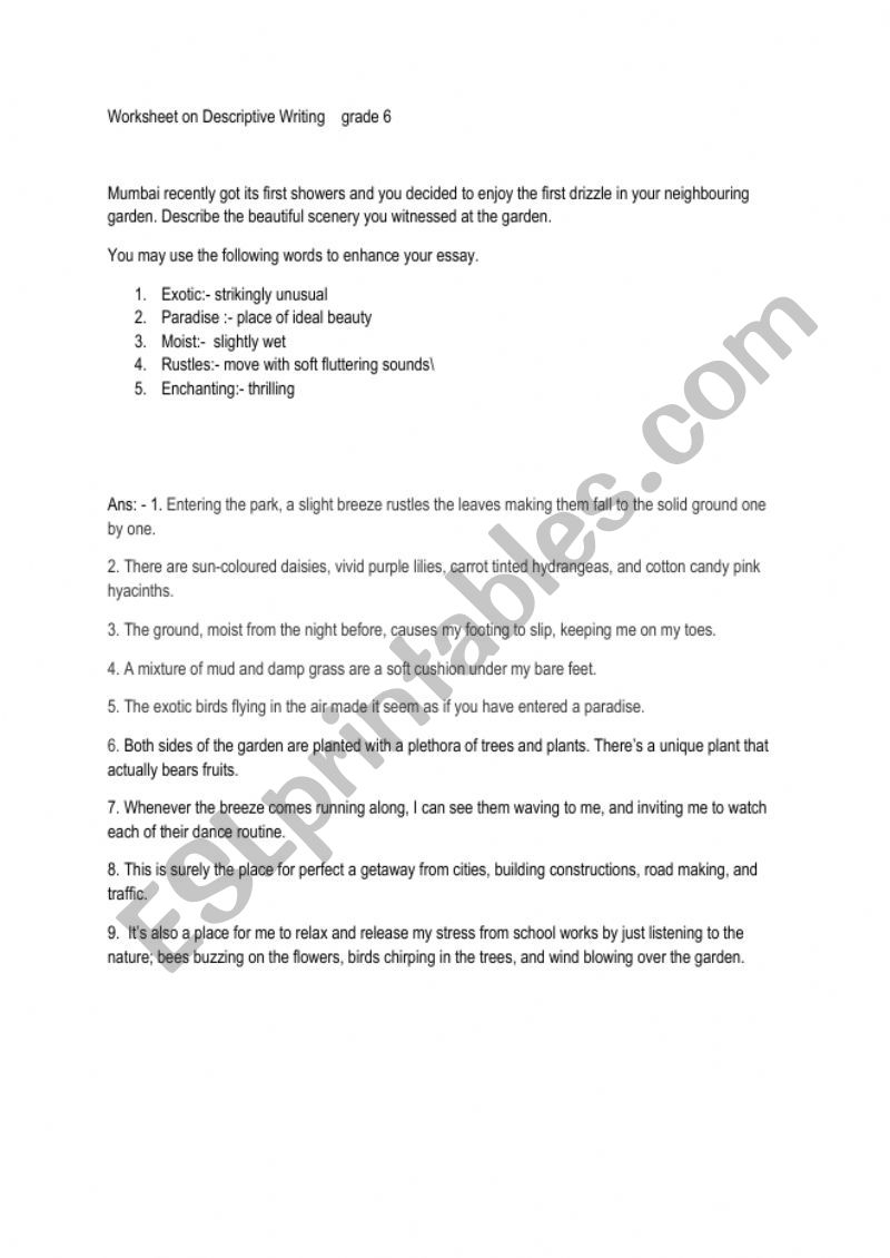 Descriptive worksheet worksheet