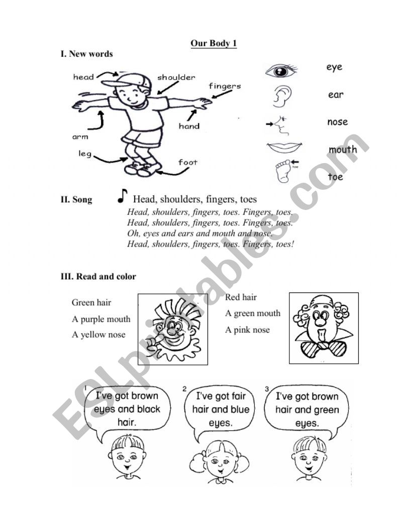 Our Body worksheet