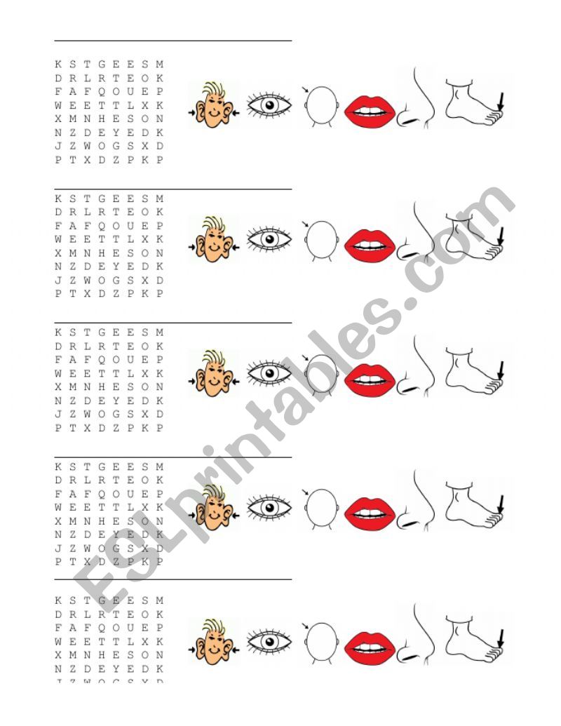 PARTS OF THE BODY worksheet