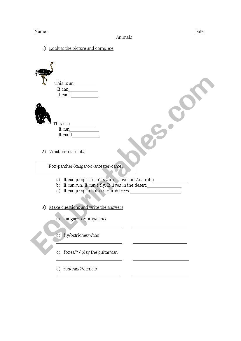 Animals worksheet