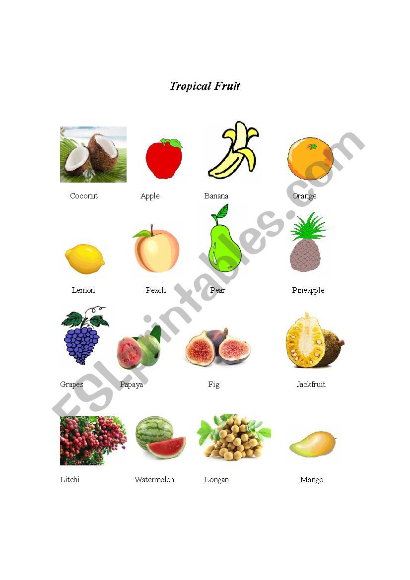 Tropical fruit worksheet