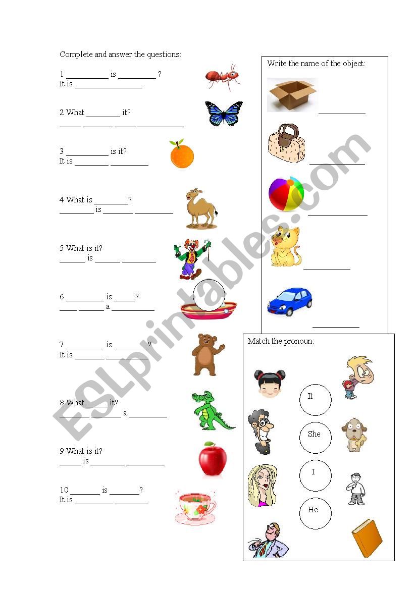 What is is? worksheet