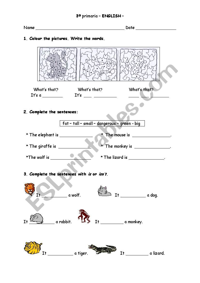 animals worksheet