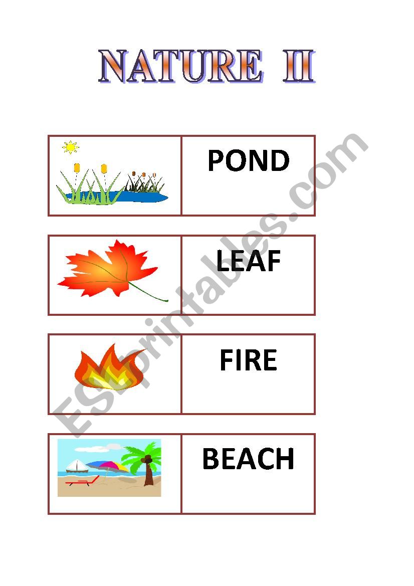 Nature II - flashcards worksheet