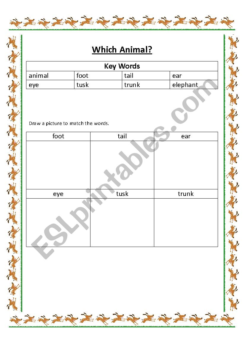 Elephant worksheet