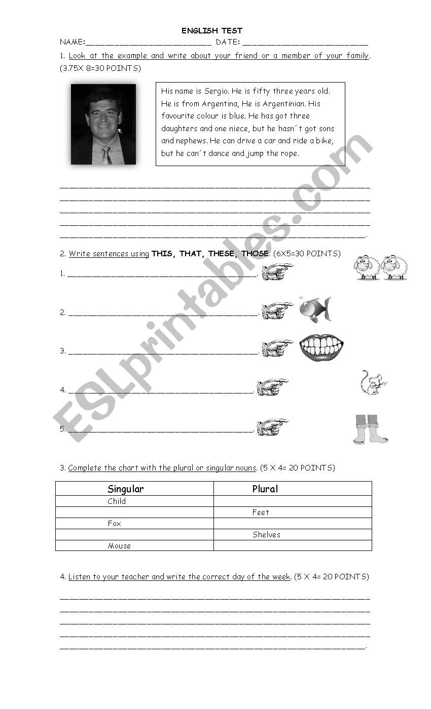 plural and singular nouns worksheet