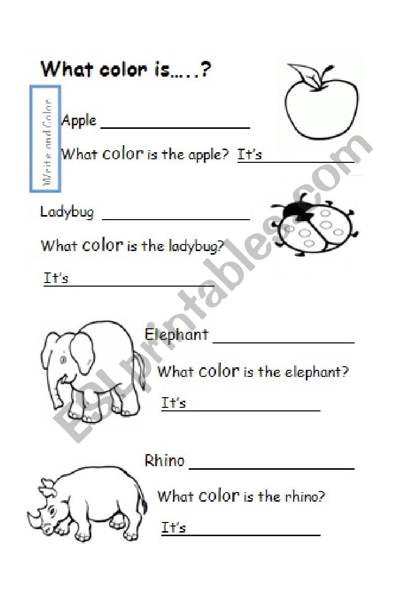 What color is? worksheet