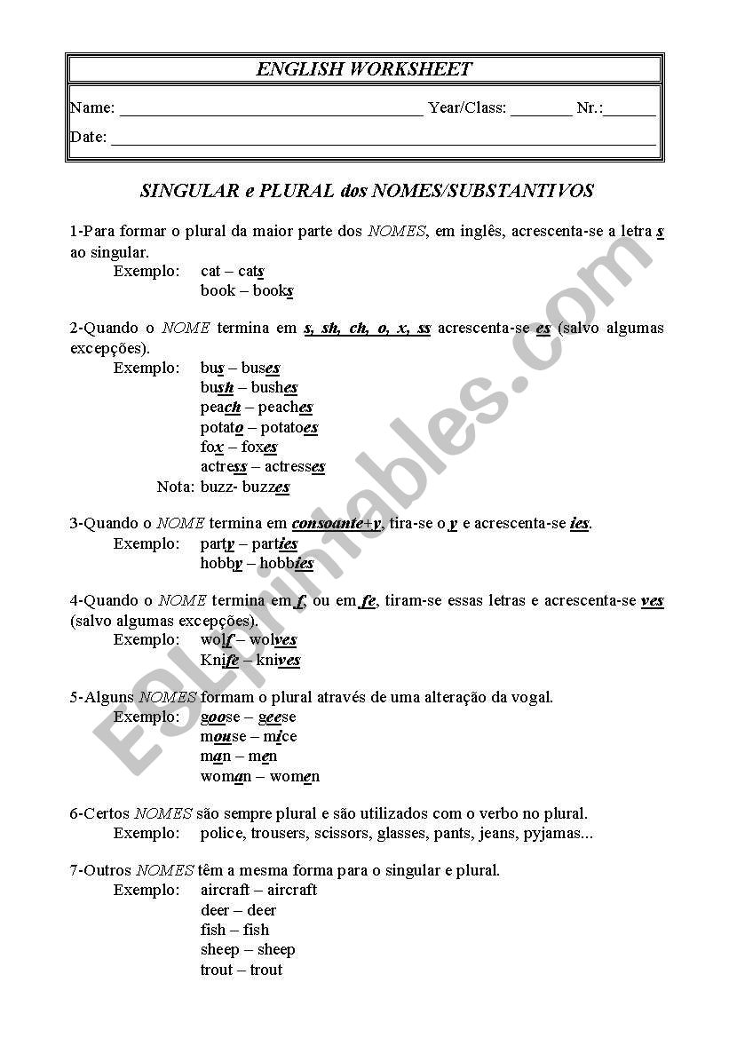 Singular-Plural worksheet