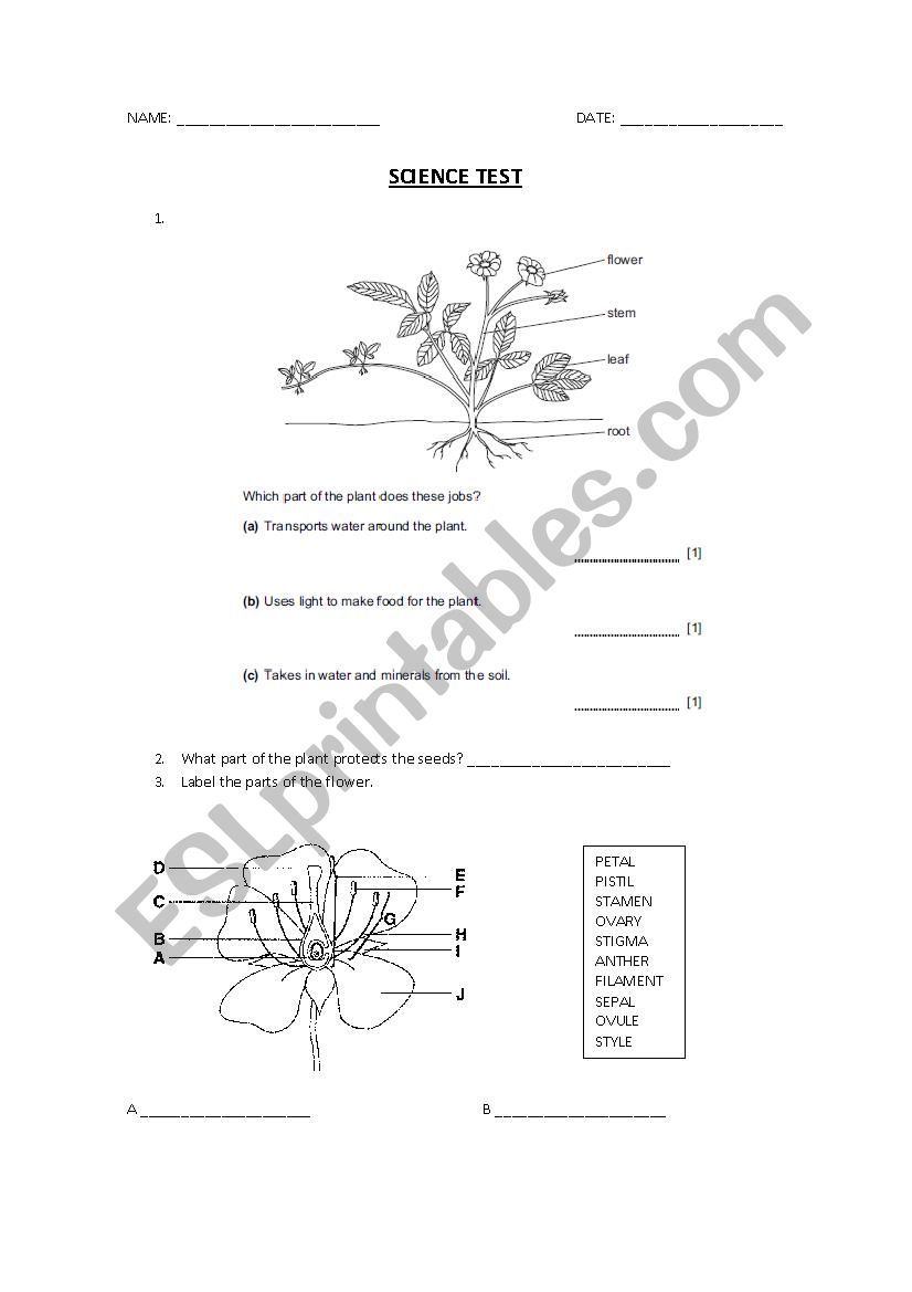 Science Test worksheet