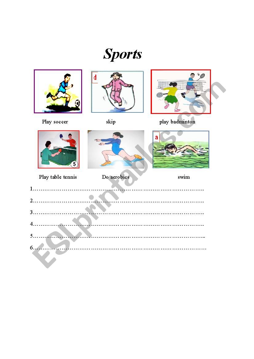 sports worksheet