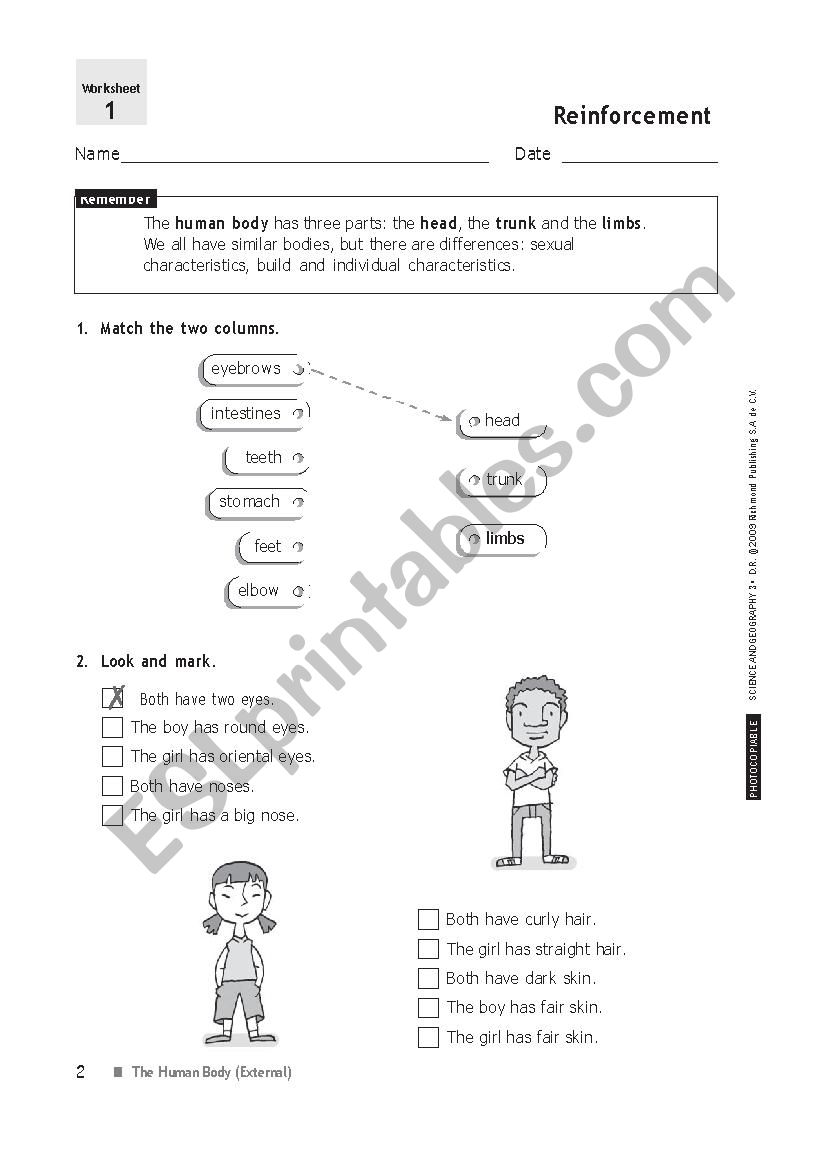 Body Parts worksheet