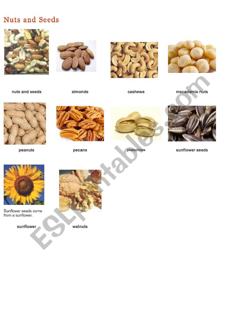 nuts and seeds worksheet