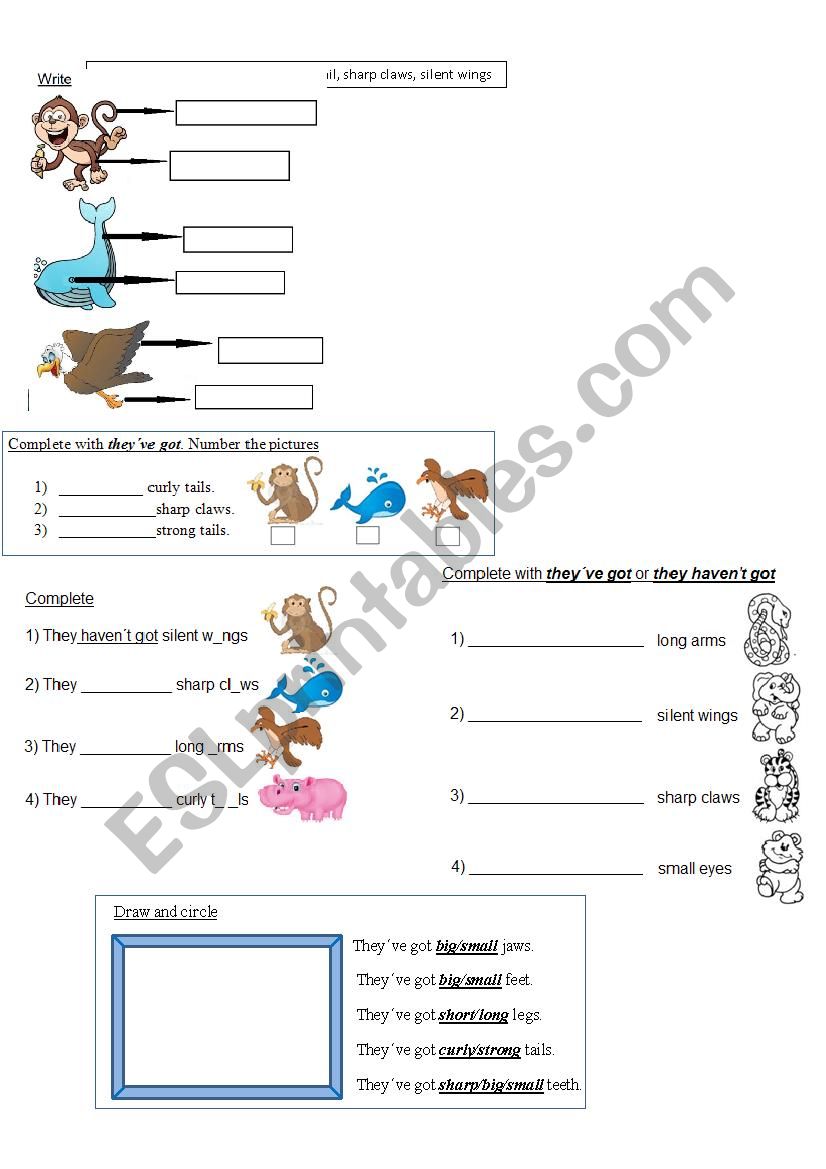 have got-haven´t got - ESL worksheet by jesicafollonier