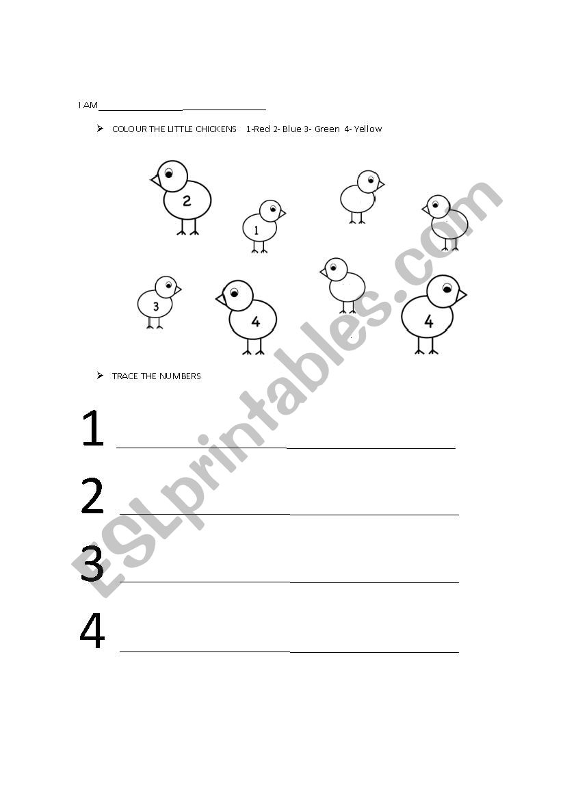 Colour and Trace worksheet