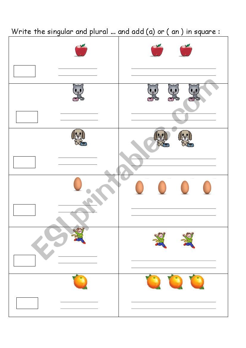 singular and plural worksheet