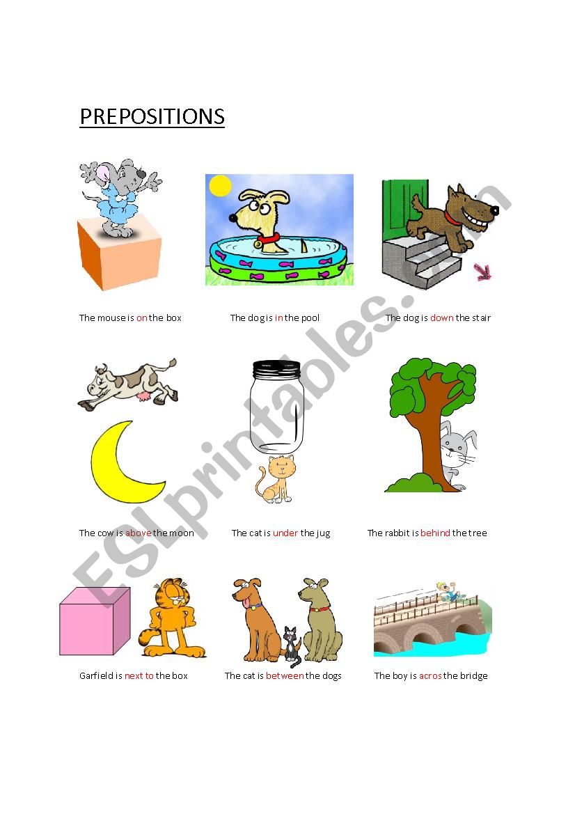 Prepositions worksheet