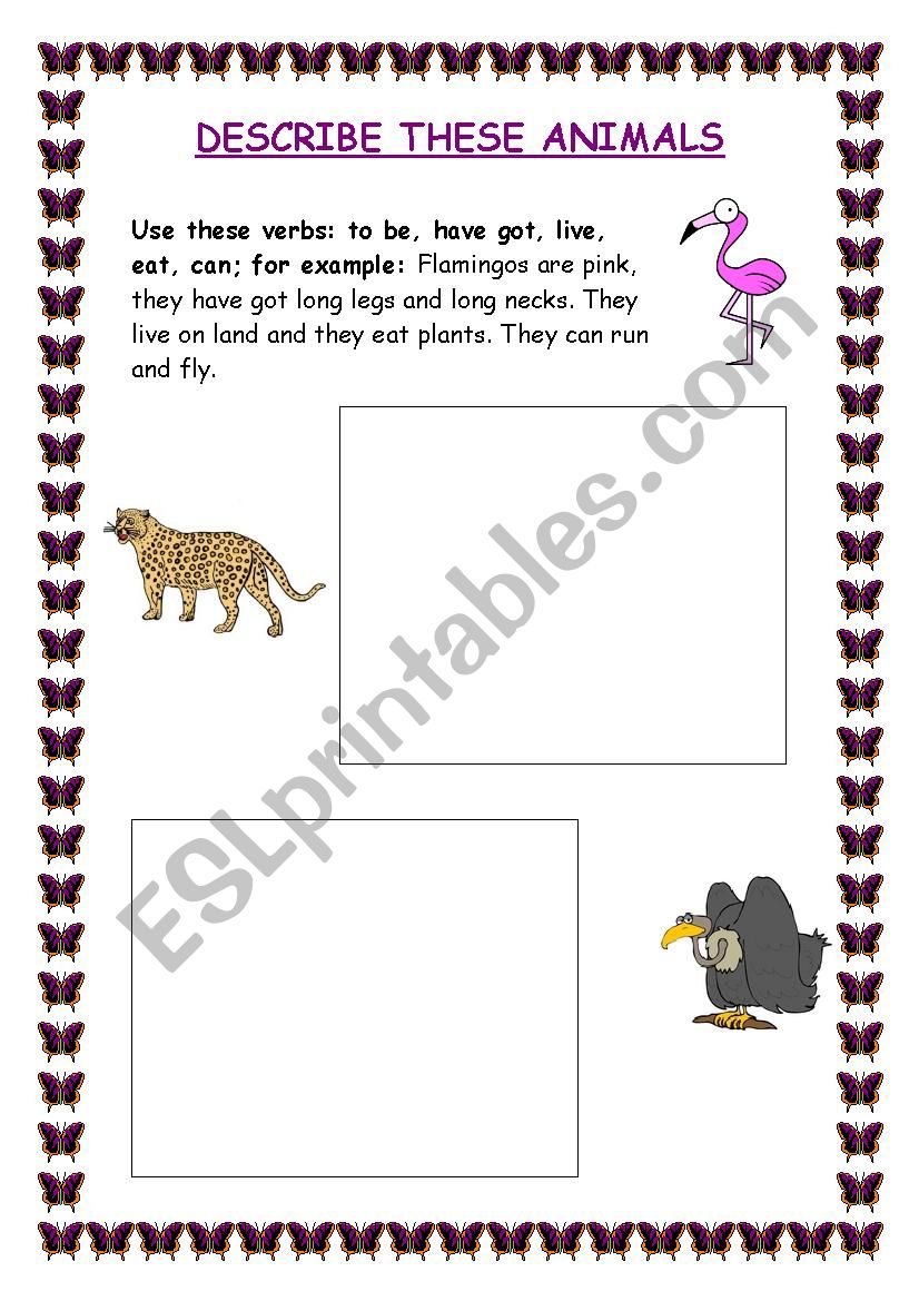 Describe an animal - ESL worksheet by RakelMaria