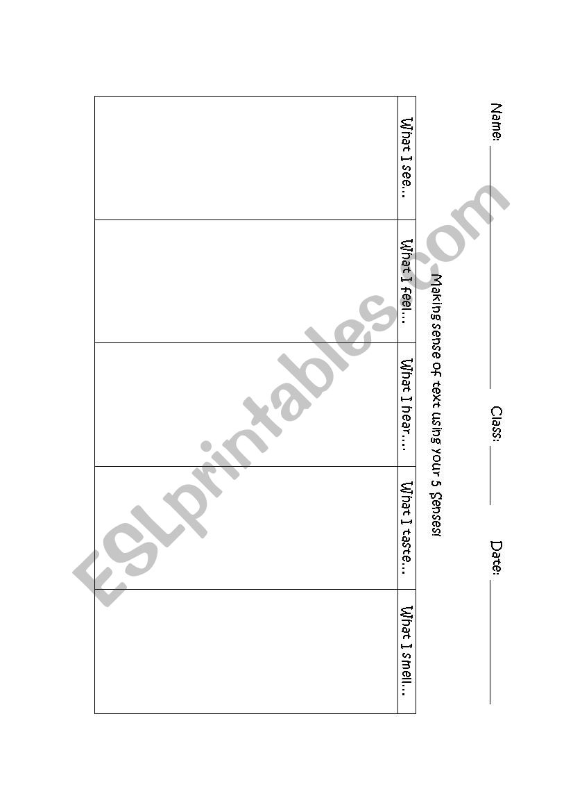 Making Sense of your Senses worksheet