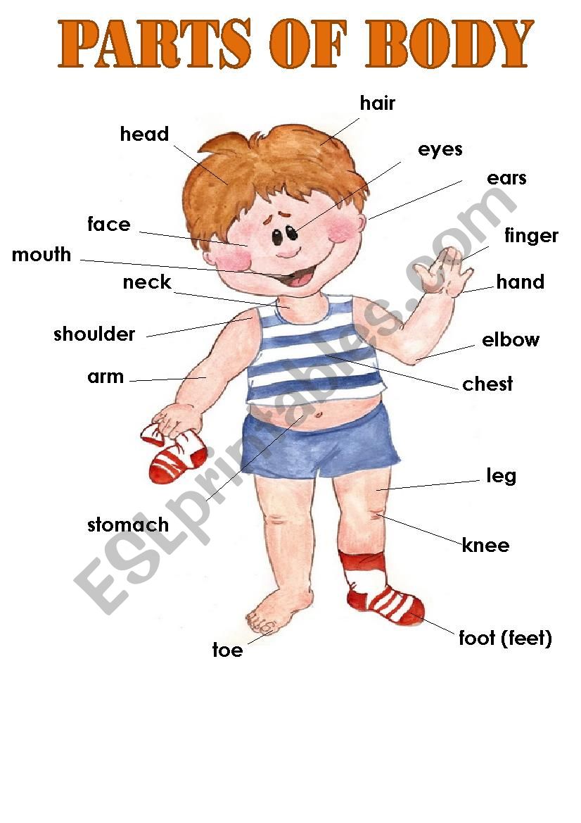 Ôpart of body - ESL worksheet by aem@noy