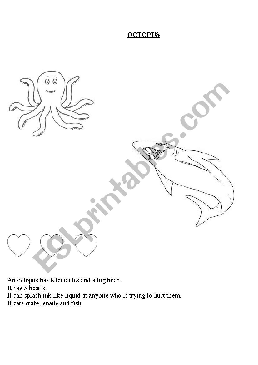 Octopus worksheet