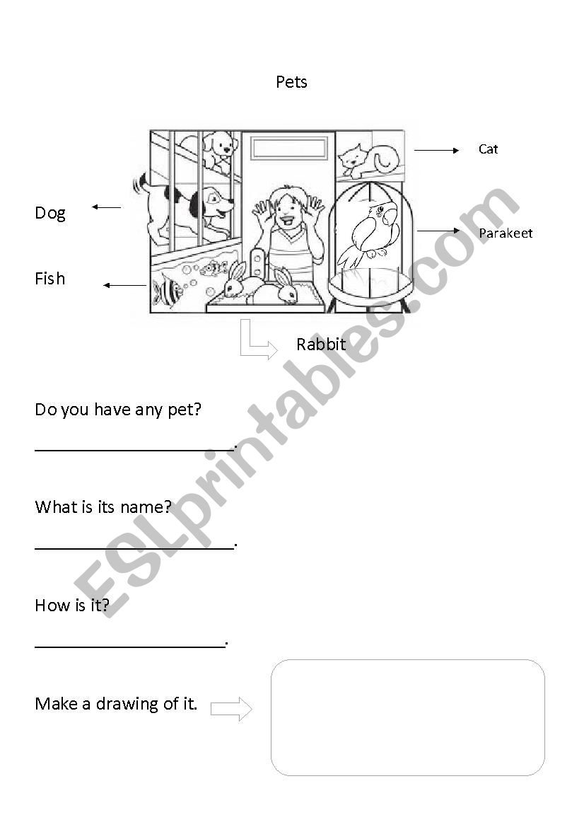 Pets worksheet