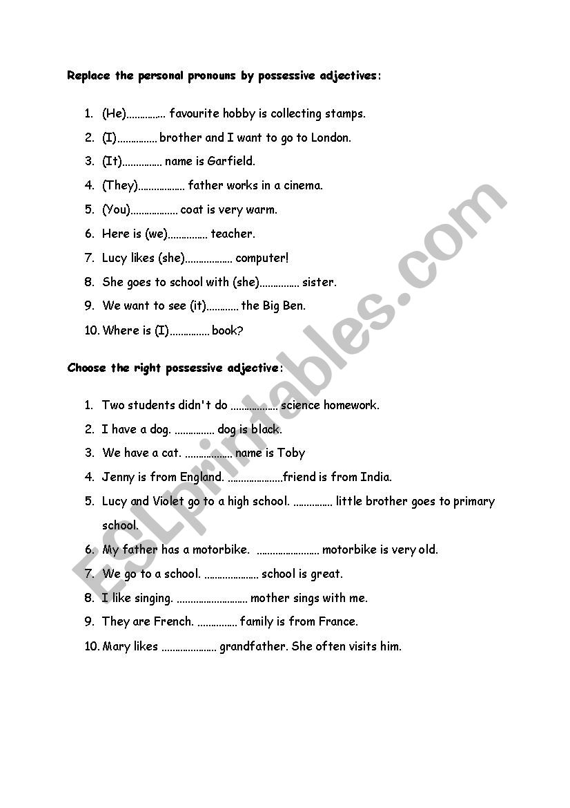 Possessive adjectives exercise