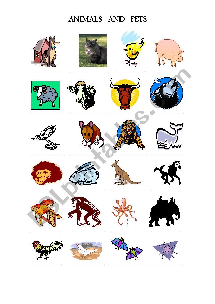 Animals and Pets - ESL worksheet by imesh78