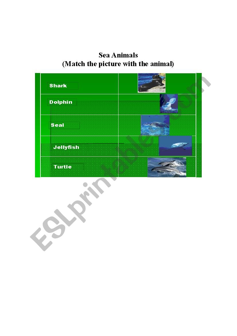 Sea Animals worksheet