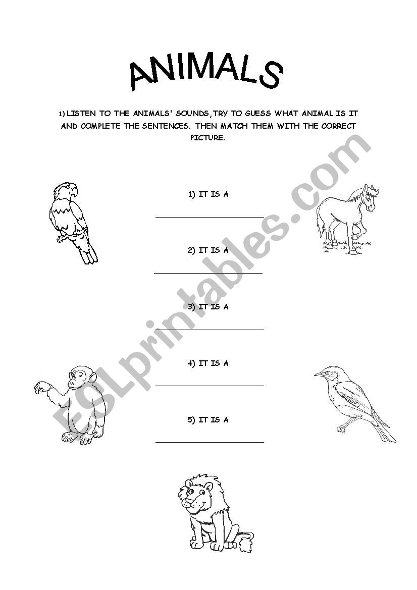 animals worksheet