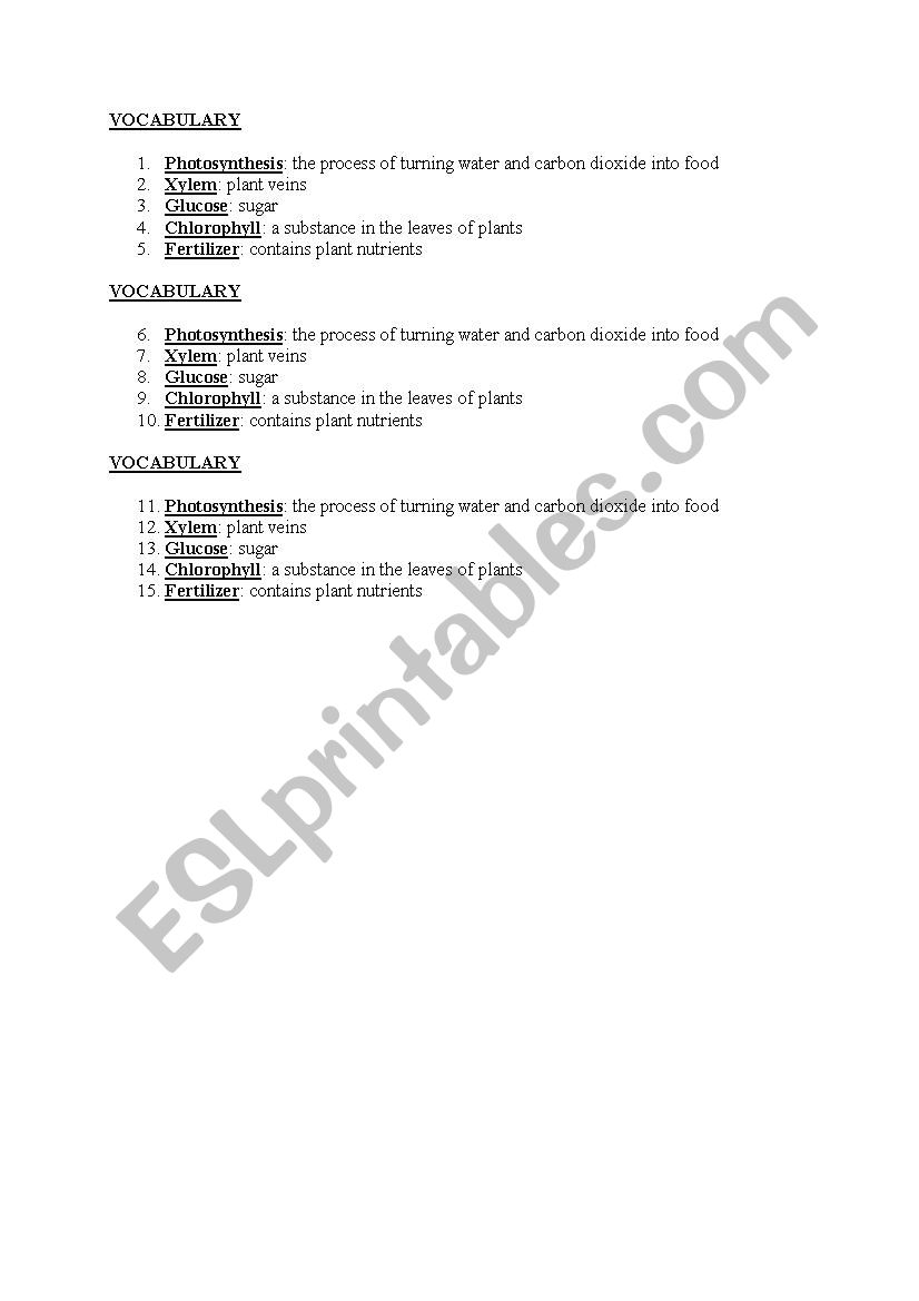 Photosnthesis Vocabulary worksheet