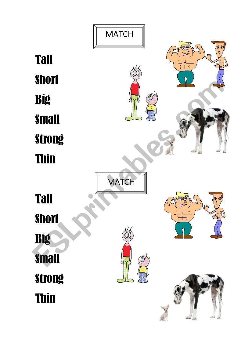 MATCH THE ADJECTIVE WITH THE WORD