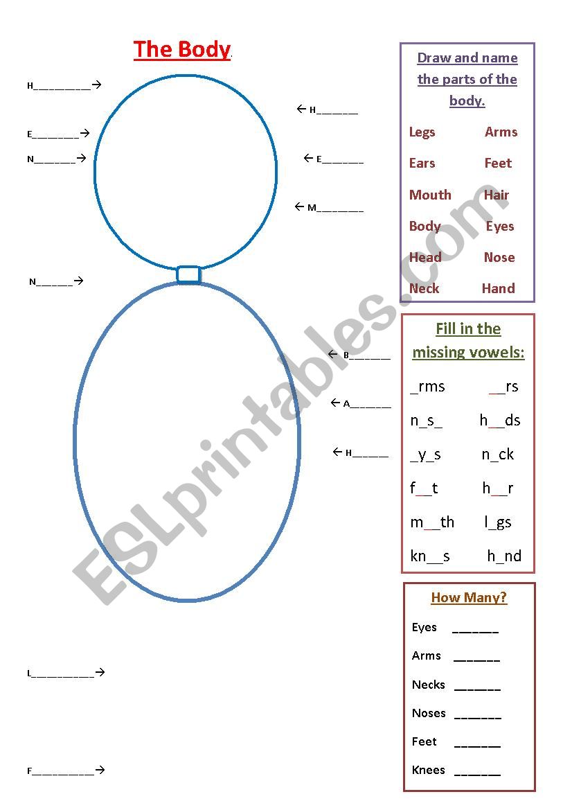 The Body, drawing and naming activity.