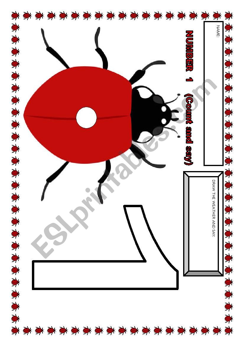 Ladybug numbers-FLASHCARDS  worksheet