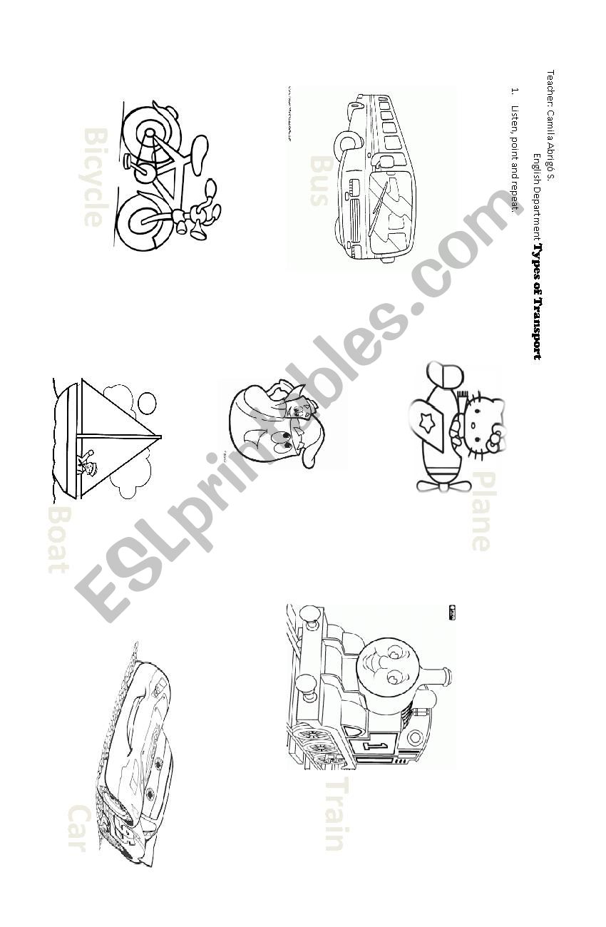 Types of transport worksheet