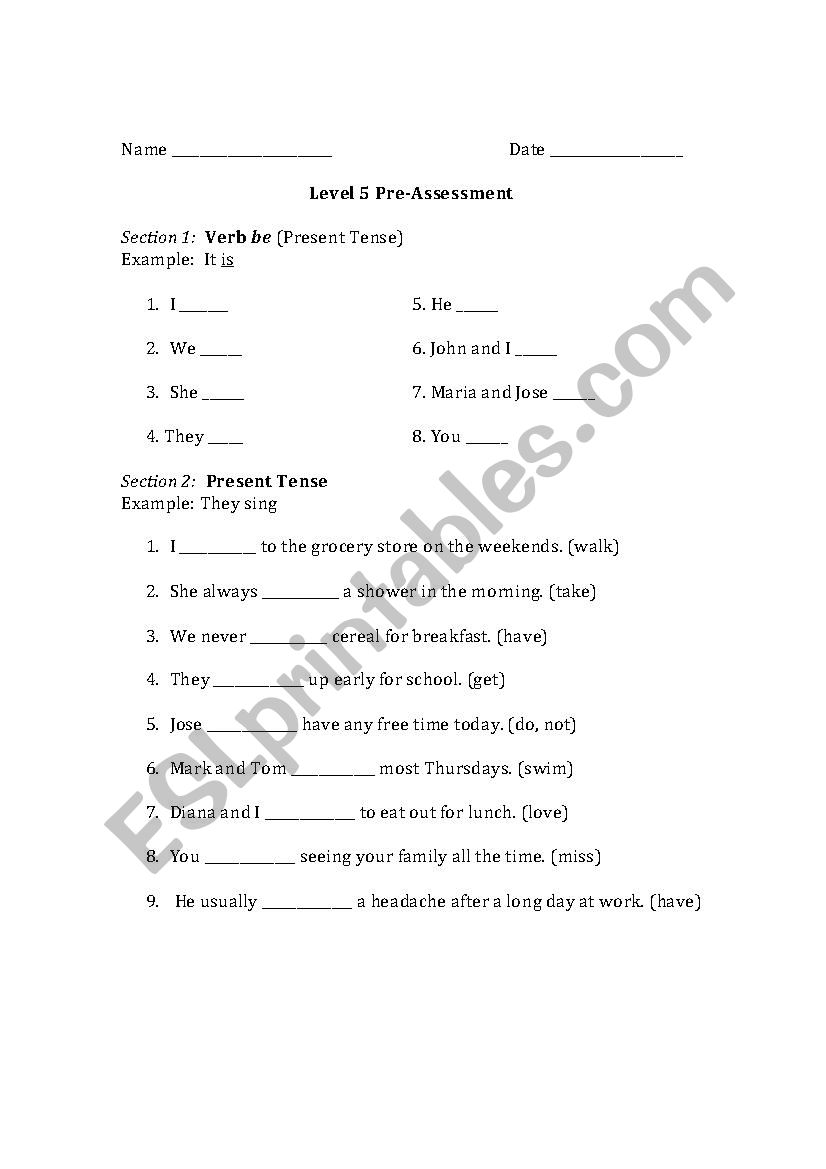 Level 5 Pre-Assessment (Verb Tenses)