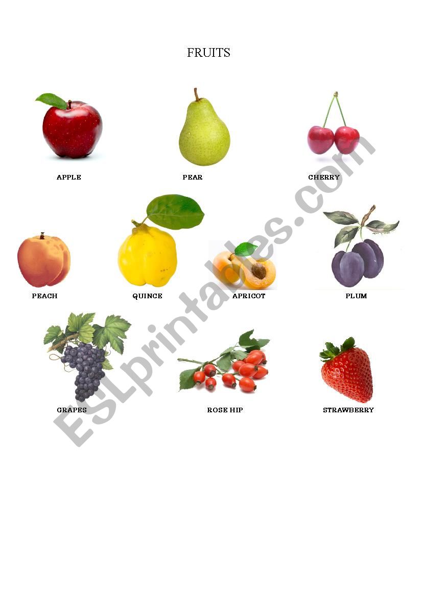 Fruit basic worksheet