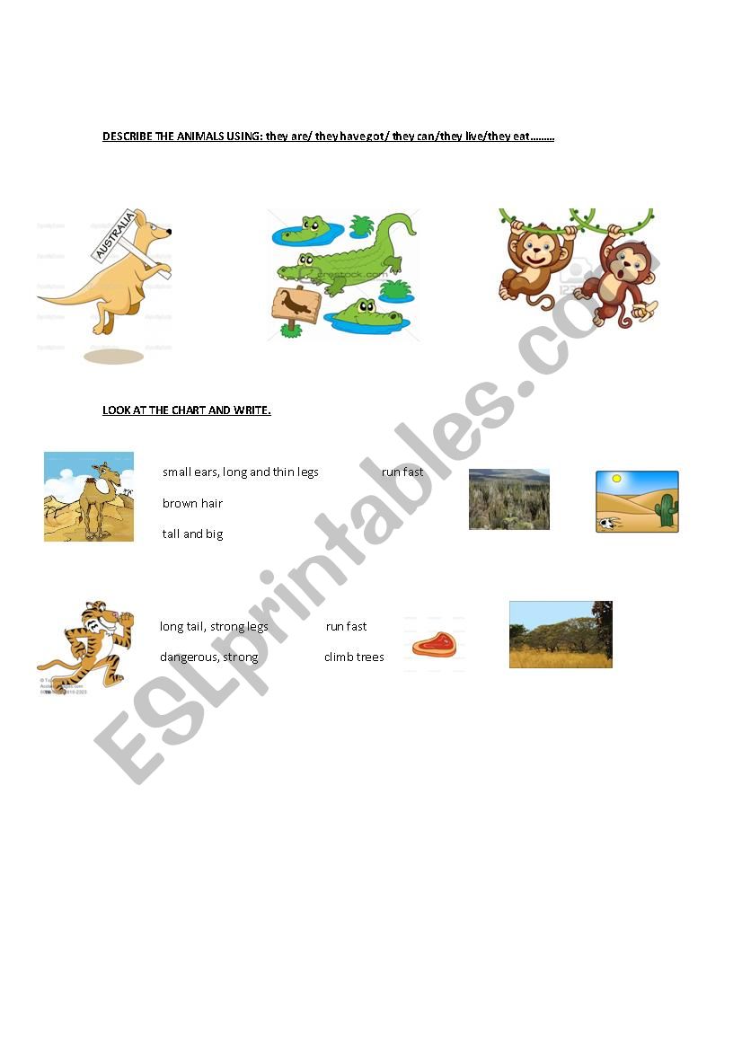 describe the animals worksheet