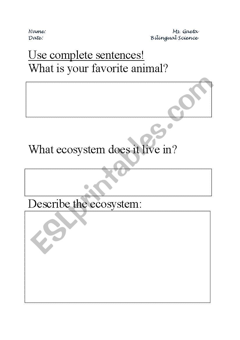 worksheet animal investigation Animal by Investigation   marinagaeta worksheet ESL