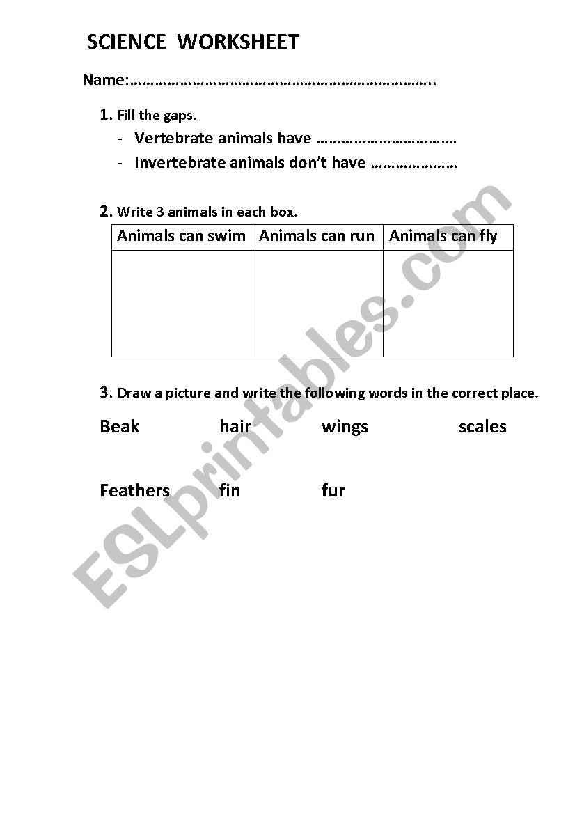 Animals and Plants worksheet