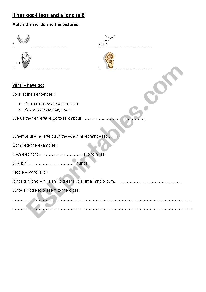 MOVERS YLE Unit 1 vocabulary and grammar worksheet