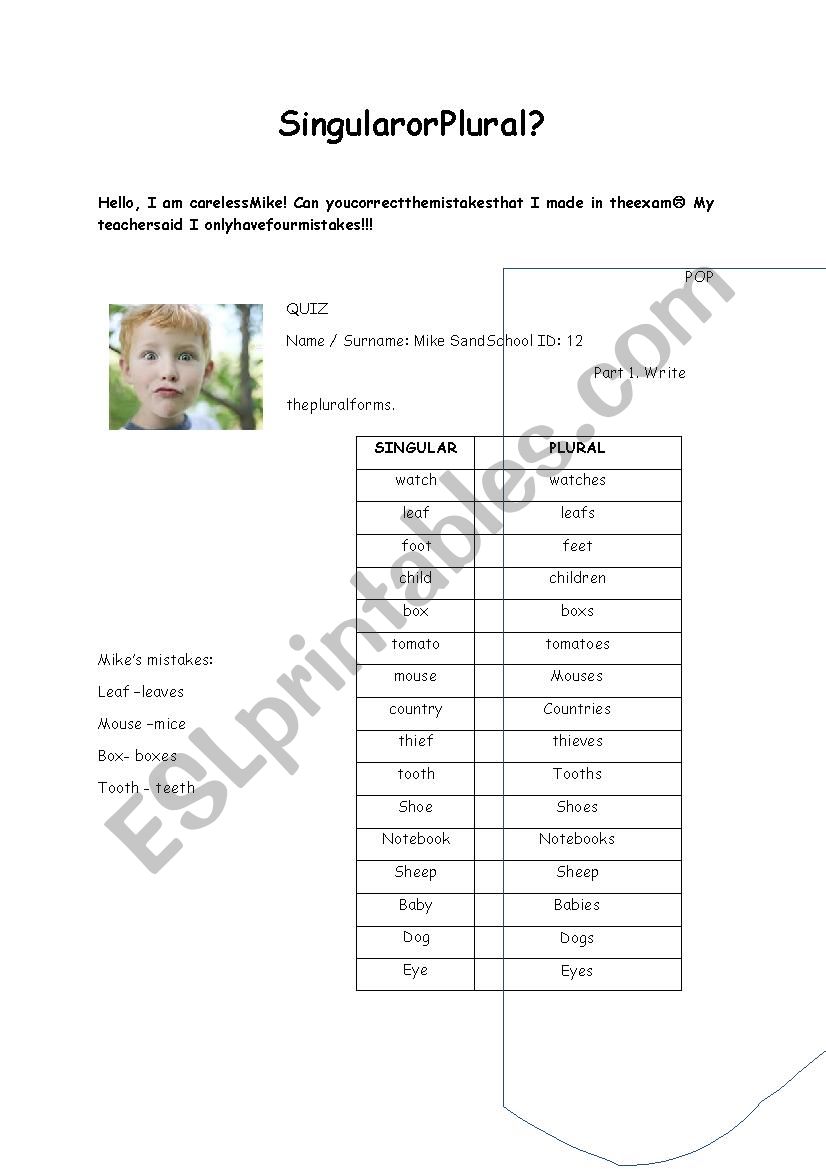 Singular Plural worksheet