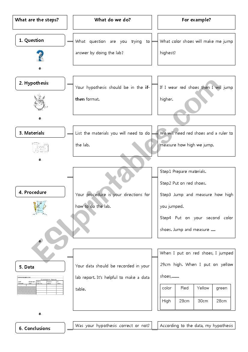 The steps for lab reports worksheet