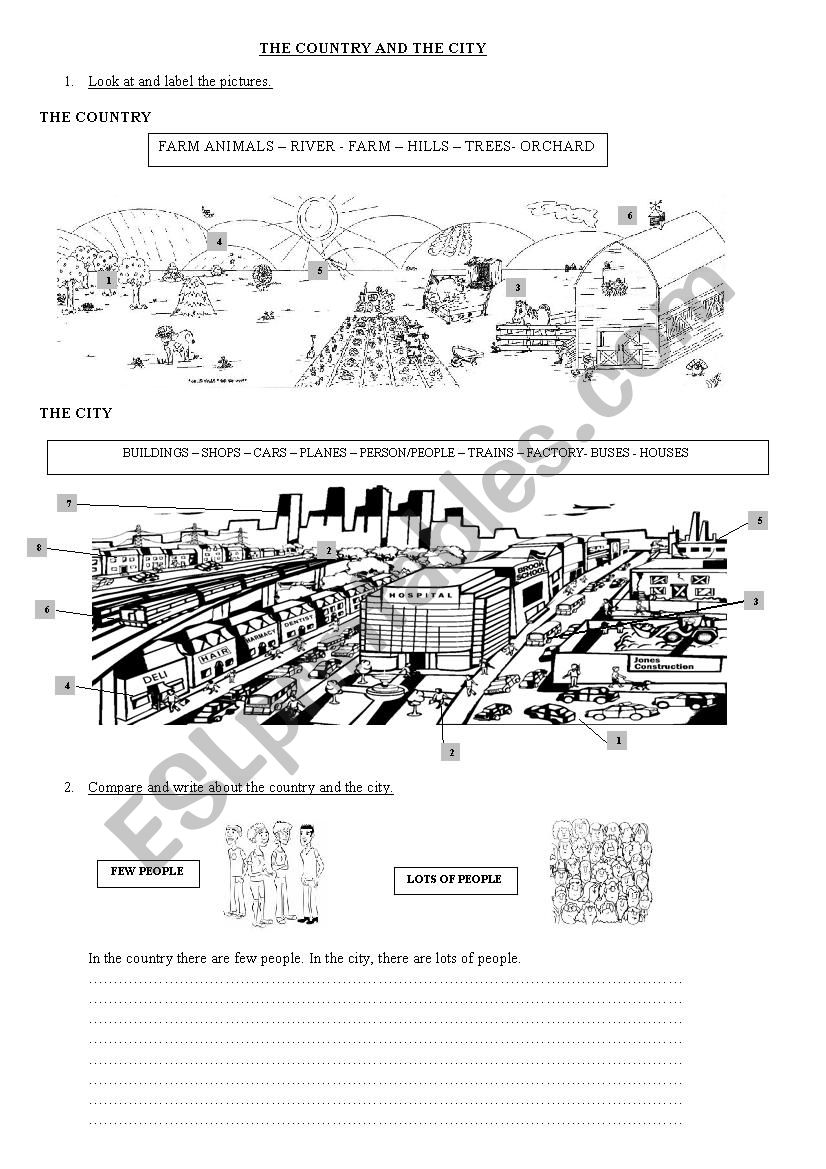 The Country and The City worksheet