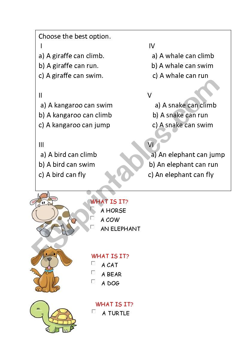 Animals vocabulary and abilities